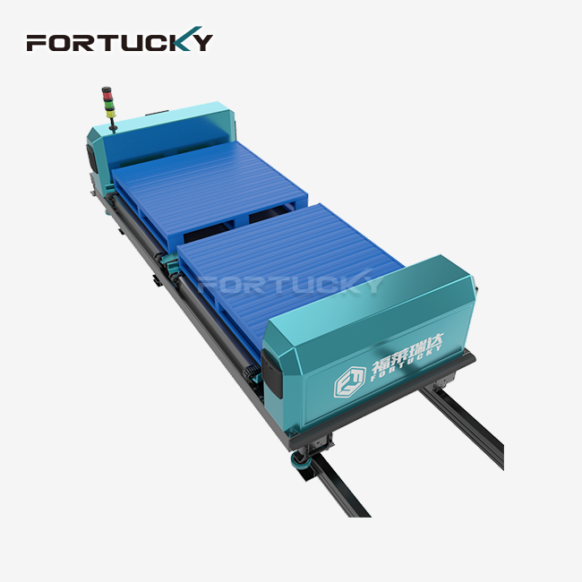 Double station Rail Guided Vehicle